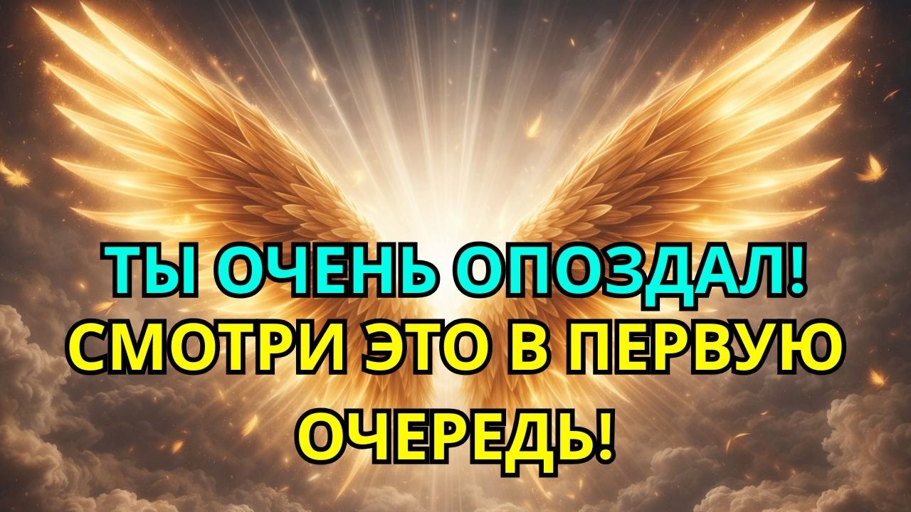 Избранный: Это срочно. Ты уже очень опоздал. Посмотри это прежде, чем смотреть что-либо другое