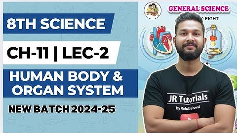 8th Science | Chapter 11 | Human Body & Organ System | Lecture 2 | Maharashtra Board |