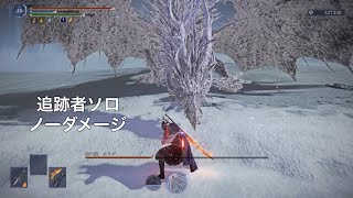 【エルデンリングナイトレイン】常世カリゴ  追跡者ソロ  ノーダメージ