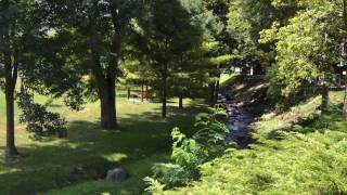 Carriage House East Apartments Manlius NY