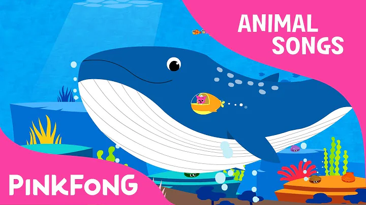 Whoosh, Blue Whale | Blue Whale | Animal Songs | Pinkfong Songs for Children - DayDayNews