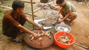 PHONG TỤC TẬP QUÁN CỦA DÂN TỘC PA CÔ #BẢNLÀNGPACÔ