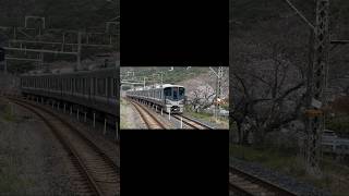 JR阪和線　山中渓駅を入線する225系　それにしても桜が綺麗やな
