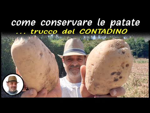 Video: Suggerimenti per la conservazione delle patate - Come conservare le patate in un pozzo