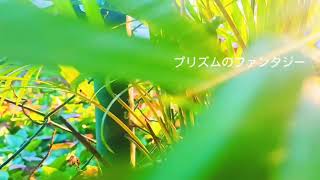 Meiko nakahara - #Xiaomiredminote9s