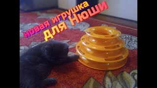 СУПЕР ИГРУШКА ДЛЯ КОТЯТ .