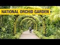 Orchid Paradise: National Orchid Garden in Singapore