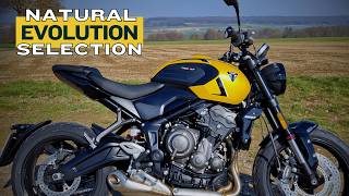 2026 Triumph Trident 660 - Evolves