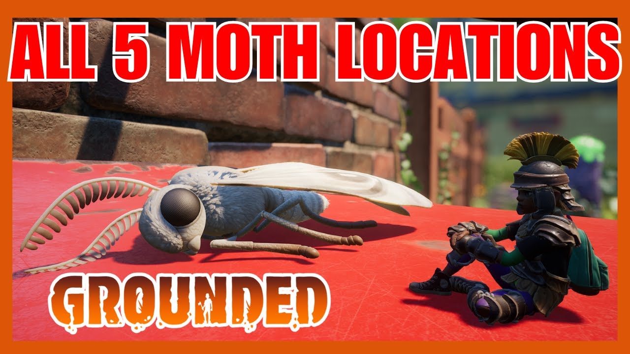 All 5 Moth Locations Grounded YouTube