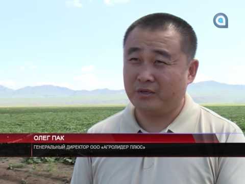 Поправки в закон