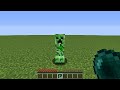 what's inside the creeper?