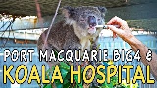 Port Macquarie, Australia Koala Hospital & Big4 Holiday Park
Port Macquarie, NSW, is a jewel on Australias Pacific Coast, with 17 stellar swimming and surfing beaches. We visited the Koala Hospital which does great work in saving these adorable guys.
Were staying at our 3rd Big4 Holiday Park, and we also spotted CAMELS on beach in Port Macquarie, which was a bit of a surprise! We were NOT, however, surprised to spot Goannas, which are big monitor lizards. Look for both camels & a goanna in the video.
Special thanks to Russell Mills for his help in planning our route. Learn all about the Legendary Pacific Coast here:
http://pacificcoast.com.au
VISIT, LEARN ABOUT AND SUPPORT THE KOALA HOSPITAL!
http://www.koalahospital.org.au
http://www.koalahospital.org.au/shop/donation
If youre planning an RV trip to Australia or New Zealand, we loved our Maui campervan!
http://www.maui-rentals.com
Big4 Holiday Parks: http://big4.com.au/
The RVgeeks are hitting the road to OZ! Were camping our way from the Great Barrier Reef 1,700 miles down Australias magnificent Pacific Coast to Sydney. Come on along for the ride!
Follow our entire trip here:
http://TheRVgeeks.com/Australia
Look for photos on Instagram, too! @RVgeeks
https://www.instagram.com/rvgeeks
Were sharing every aspect of our 2,700-kilometer drive from the Great Barrier Reef to Sydney. Well compare the systems on our campervan to North American RVs, experience a mix of Holiday Parks and Free Camping and of course well feature the famous beauty and hospitality of Oz.
PREVIOUS RELATED VIDEOS:
Official Trip Announcement: https://youtu.be/L94rxH1ly7M
Legendary Pacific Coast Interview: https://youtu.be/9O_n8rUpRdk
Melbourne Beach Boondocking: https://youtu.be/awLWxKQYGug
Tasmanian Devil Feeding Frenzy!: https://youtu.be/ypN9wZCrui4
Dunedin, NZ Driving on the Left: https://youtu.be/Zvh_7oOglCw
Akaroa NZ Freedom Camping: https://youtu.be/g7hv8RHSlNo
Mohaka River NZ Freedom Camping: https://youtu.be/34feCFpi3yg
Picking Up Our Campervan: https://youtu.be/RZuyPAQFyuA
Snorkeling the Great Barrier Reef: https://youtu.be/2ztQBcbJRHw
Campervan Hook Up & Tank Dump: https://youtu.be/b6P6U9tQIFs
Duck-Billed Platypuses in the Wild!: https://youtu.be/dTc2lOr7yH8
Australian Campervan Tour: https://youtu.be/Y_N_D9JsyVI
Magnetic Island Wild Koalas: https://youtu.be/Vyyk7-Vl41w
Whitsunday Islands Float Plane: https://youtu.be/MHSDEKzSm3s
Cape Hillsborough Kangaroos: https://youtu.be/QkIe5kgDcuQ
Brekky on the Barbie: https://youtu.be/rH7mzQJIuLk
Boondockers Welcome in Oz: https://youtu.be/HypzQXC4MGc
Australia Driving Instructor Q&A: https://youtu.be/Gmd7NmvgNoQ
Campervan Awning Set-up: https://youtu.be/kmY1eSJg4zA
Byron Bay Bluesfest: https://youtu.be/3jNHmKKfedY
Cape Byron & Big4 Byron Bay: https://youtu.be/JN-bNHlB-5A
Mobbed By Roos in Yuraygir NP: https://youtu.be/-JEayGKjrdQ
#gobycamper
#mauimotorhomes
#mylegendarydrive
#australiasbestdrives
#aussieroadtrip
THANKS FOR JOINING US ON THE ROAD!
To hear about new videos, giveaways and other great RVing content as soon as its released, visit our website and subscribe!
http://TheRVgeeks.com
WONDERING WHATS THE BEST GEAR TO USE ON YOUR RV?
Heres all of our favorite equipment that we use ourselves and recommend to friends:
http://thervgeeks.com/our-favorite-gear/
Join us at http://TheRVgeeks.com for more great RVing content!
Full-Time RVers since April, 2003, we share DIY (do it yourself) RV maintenance, repair, travel, upgrade and operational tips & tricks.
Many RVers are eager to learn more about using, maintaining and caring for their rigs. We hope our experience can help others go DIY, saving time & money, plus the satisfaction of a job well done.
Were handy RVers, not professional technicians. Were happy with the techniques and products we use, but be sure to confirm that all methods and materials you use are compatible with your equipment and abilities. Regardless of what we recommend, consult a professional if youre unsure about working on your RV. Any task you perform or product you purchase based on any information we provide is strictly at your own risk.
We sometimes receive products for evaluation at no cost, and The RVgeeks participate in the Amazon Services LLC Associates Program, an affiliate advertising program designed to provide a means for sites to earn advertising fees by advertising and linking to Amazon.com. But our opinions are our own, you won’t pay an extra penny, and we only link to products we personally use, love and can recommend to friends with complete confidence.
Comments welcome! Thanks for watching! Dont forget to subscribe! #RVLIFE #RVDIY #RVLIVING #FULLTIMERV #RVREPAIR #RVMAINTENANCE #RVMODS #RVUPGRADES #RVTRAVEL #DIYRV #RVGEEKS Port Macquarie, Australia Koala Hospital & Big4 Holiday Park