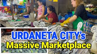 URDANETA CITY, PANGASINAN Massive Food Market | Palengke Walk + Prices of Vegetables, Seafood Etc.