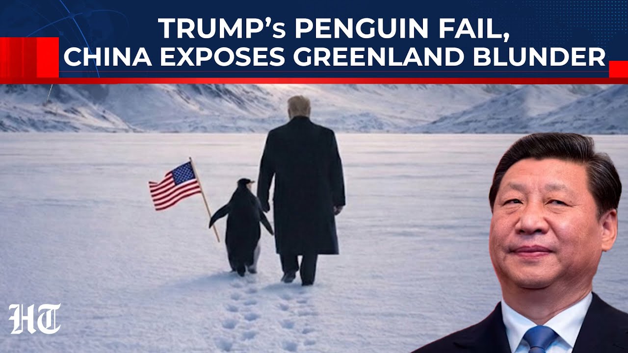 China Turns Trump’s Penguin Meme Into Mockery? Xi Jinping Roasts US, 'No Penguins In Greenland...'