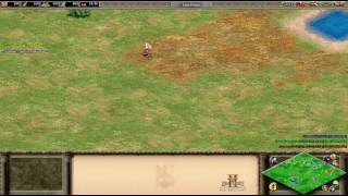 Age of Empires II  HD Edition Moonwalk