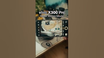 Vivo X300 Pro vs Pro Camera Macro Test!