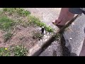 Sprinkler Head Won&#39;t Pop Up?  WATCH THIS Before You Call Your Sprinkler Guy!