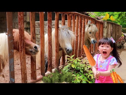 Video: Apa Yang Harus Memberi Makan Kuda Poni?