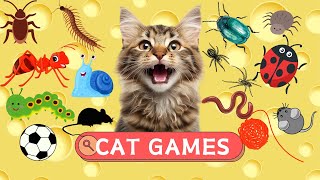 CAT TV  Mouse, Ball, Butterfly, Fish And Fun GamesVideos That Appeal To Your Cat  CAT GAMES