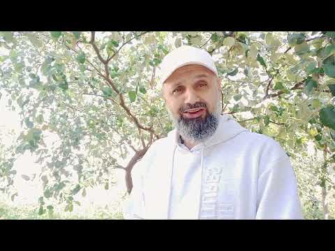 الاوقاف الجعفرية ترفد المحكمة بمزيد من الوثائق