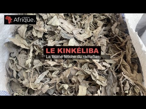 Le kinkéliba: la tisane fétiche du ramadan