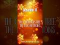 17 December - The Christmas Tree: The Decorations