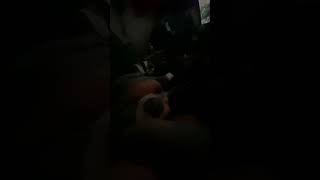 She Wont Hold My Pawhand