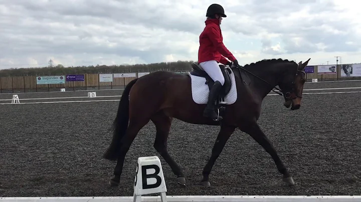 Ruth Snowden Riding Majestic Lord