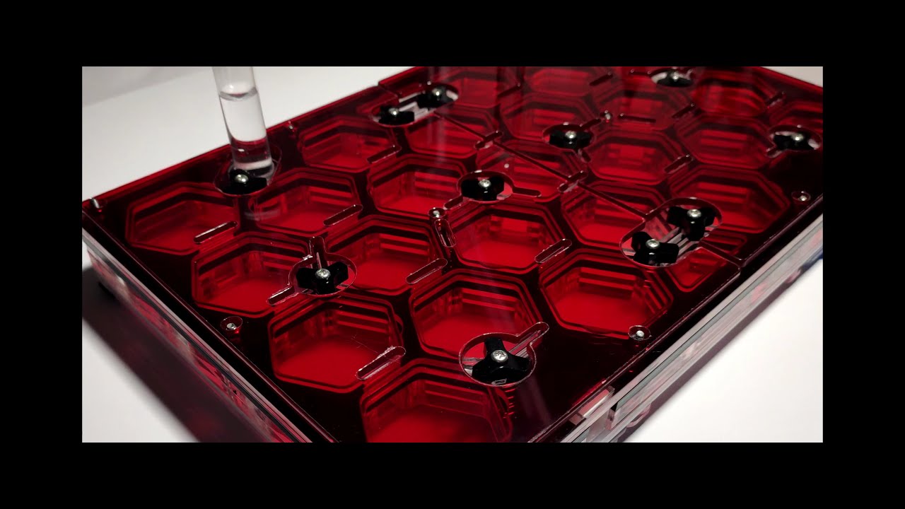 Vidéo bonus : Nouveau nid 100% modulable