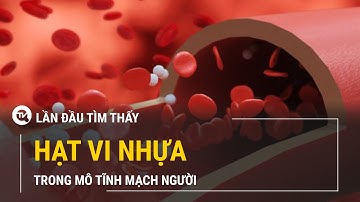 Lần đầu tiên tìm thấy hạt vi nhựa trong mô tĩnh mạch người | Truyền hình Quốc Hội Việt Nam