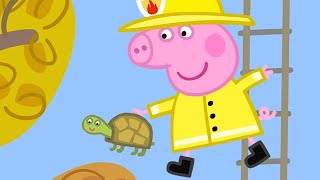 Peppa Wutz  SchildkrötenRettung! | Peppa Pig Deutsch Neue Folgen | Cartoons für Kinder