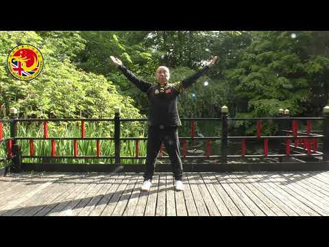 Health Qigong Yi Jin Jing 健身气功易筋经   Mirror Version 镜面示范