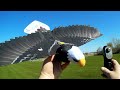 Go go bird eagle rc bird flight test review