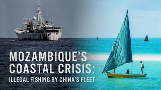 Mozambiques Coastal Crisis: Illegal fishing by Chinas fleet – an EJF film