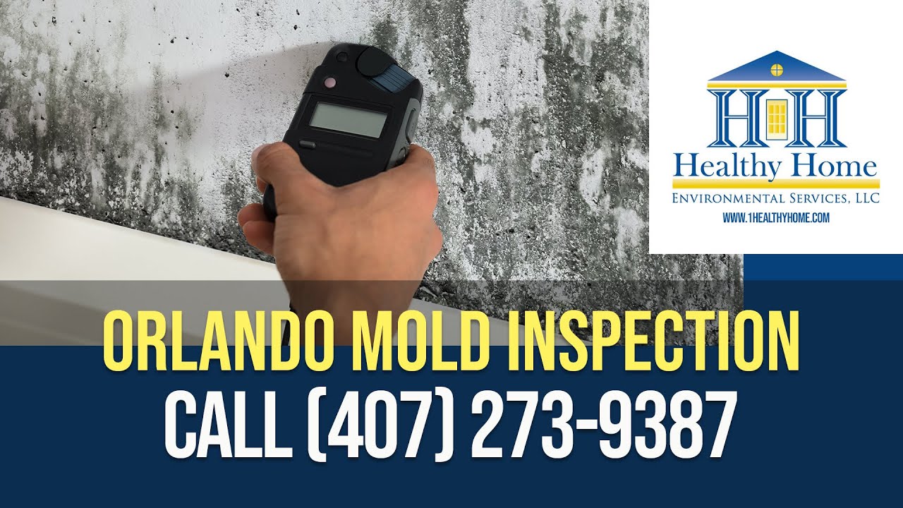 Orlando Mold Inspection | Call (407) 273-9387 for Mold Testing Orlando Fl