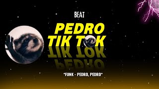 BEAT PEDRO TIKTOK - Meme - Guaxinim Dançando (FUNK REMIX) by Canal Sr. Nescau