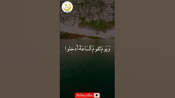 #القرآن_الكريم #دويتو #قرآن #اكسبلور #تيك_توك #راحة_نفسية #لايك #حالات_واتس #تلاوات #تلاوة_خاشعة