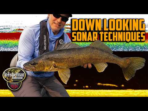 Screen Scene: Down-Looking Sonar Techniques