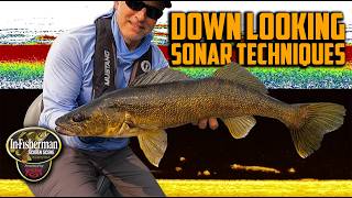Screen Scene: Down-Looking Sonar Techniques