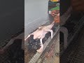 bakar apa hari ini (2/6/25)