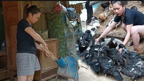 hluas nkauj tsuav tsawb pub os coob kawg thiab 31/3/2021