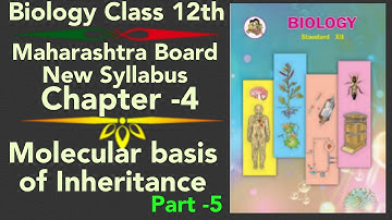 part-5 ch-4 Molecular basis of inheritance biology class 12 science new syllabus maharashtra board