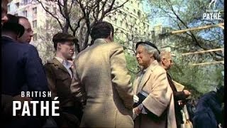 Embankment Artists (1955)