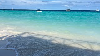 Zanzibar part 2 ||Nungwi || Mnemba island || Baraka Natural Aquarium