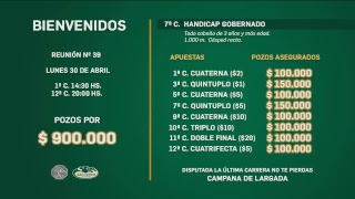 Hipódromo San Isidro Live Stream