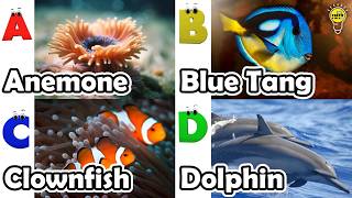 Abc Phonics Animals English And Animals For Kids