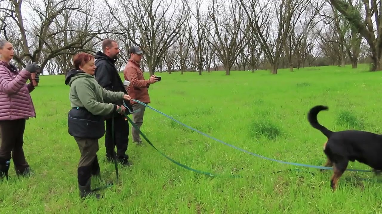 2026-February - uploaded   MVI 2638