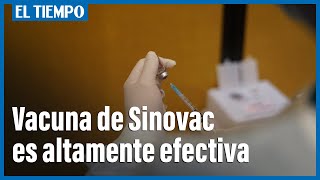 Vacuna de Sinovac es altamente efectiva, según estudio | El Tiempo