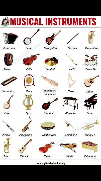 Musical  Instruments Names/List of Musical instruments Names/#ytshorts /#shorts/#new /#musical