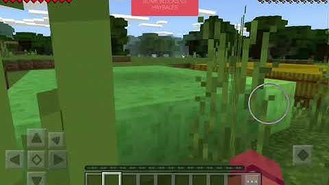 SLIME BLOCKS VS HAYBALES  .Can we survive 100 blocks fall from them ??